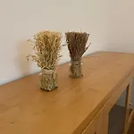 Apartmán Schennach Obsteig