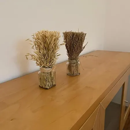Apartman Schennach Obsteig