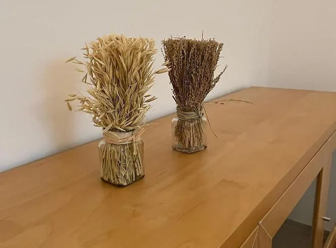 דירה Schennach אובשטייג